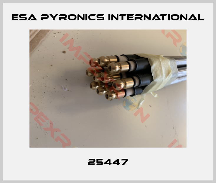 ESA Pyronics International-25447