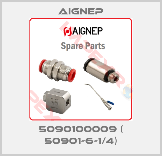 Aignep-5090100009 ( 50901-6-1/4)