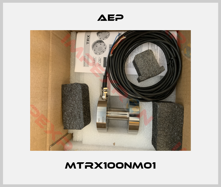 AEP-MTRX100NM01