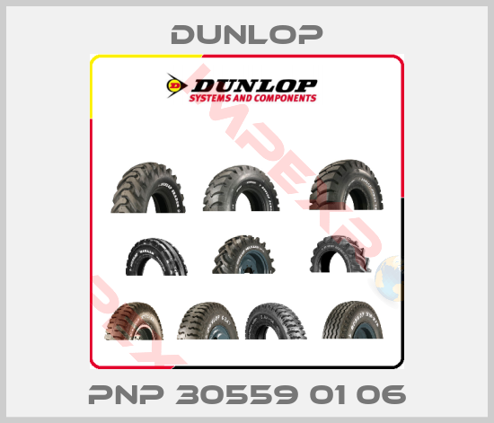 Dunlop-PNP 30559 01 06