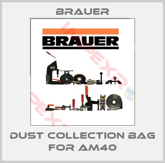 Brauer-Dust collection bag for AM40