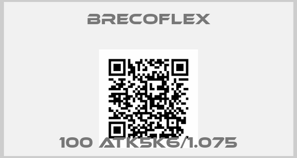 Brecoflex-100 ATK5K6/1.075