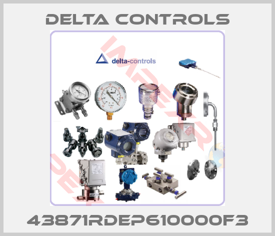 Delta Controls-43871RDEP610000F3