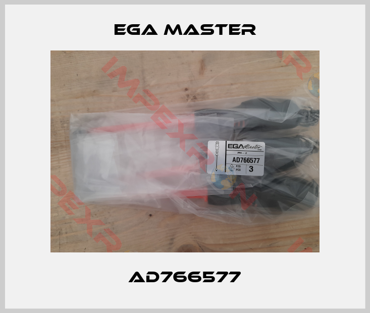EGA Master-AD766577