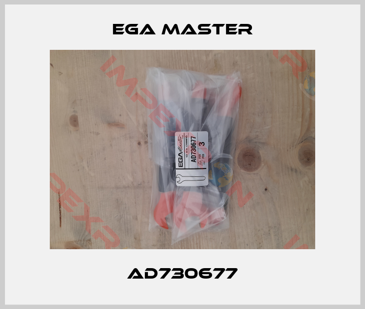 EGA Master-AD730677