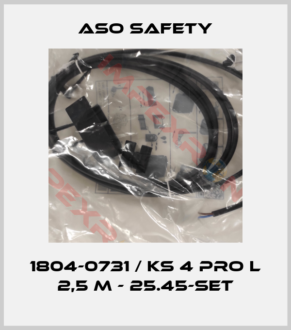 ASO SAFETY-1804-0731 / KS 4 PRO L 2,5 m - 25.45-Set