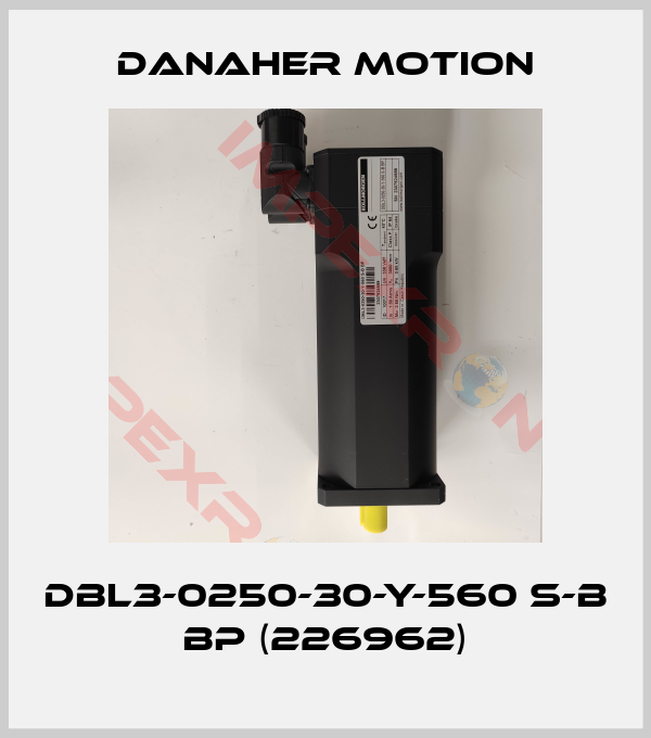 Danaher Motion-DBL3-0250-30-Y-560 S-B BP (226962)