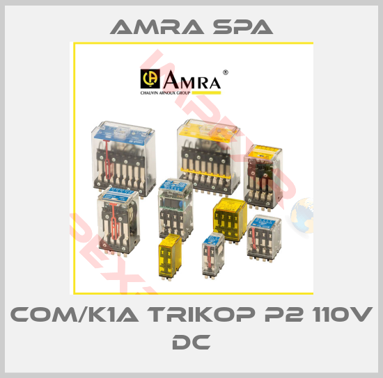 Amra SpA-COM/K1A TRIKOP P2 110V DC