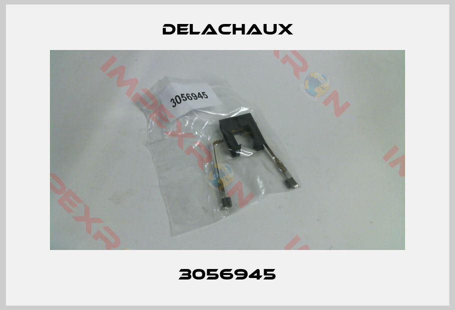 Delachaux-3056945