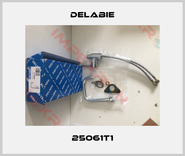 Delabie-25061T1