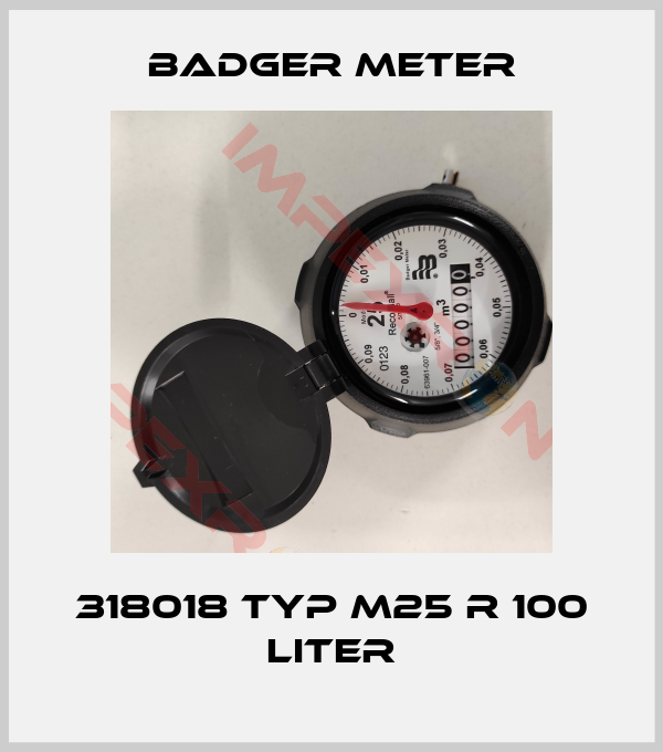 Badger Meter-318018 Typ M25 R 100 Liter