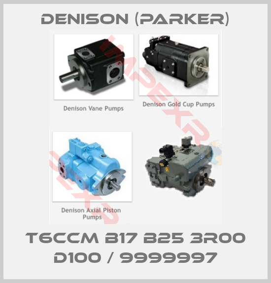 Denison (Parker)-T6CCM B17 B25 3R00 D100 / 9999997