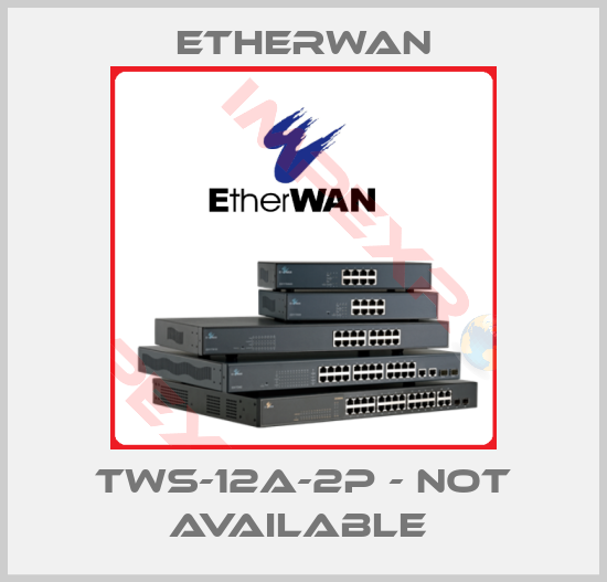Etherwan-TWS-12A-2P - not available 