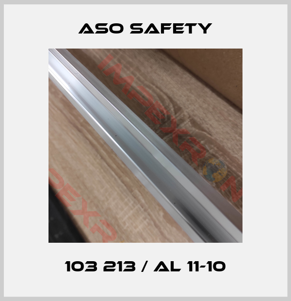 ASO SAFETY-103 213 / AL 11-10