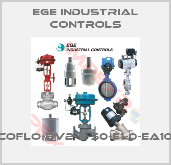 EGE industrial controls-ecoflo-BV2-5-50-F1-0-EA102
