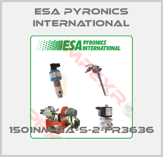 ESA Pyronics International-1501NM-GA-S-2-FR3636