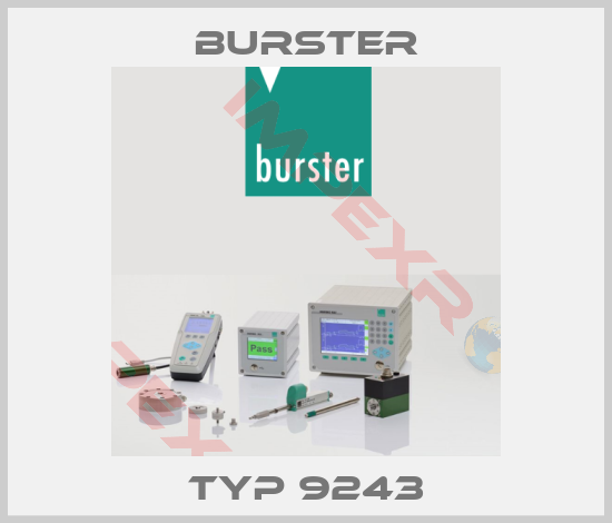 Burster-TYP 9243