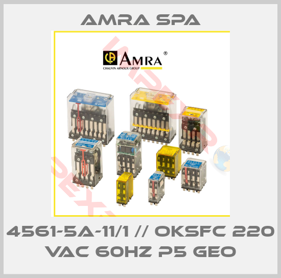 Amra SpA-4561-5A-11/1 // OKSFC 220 Vac 60Hz P5 Geo