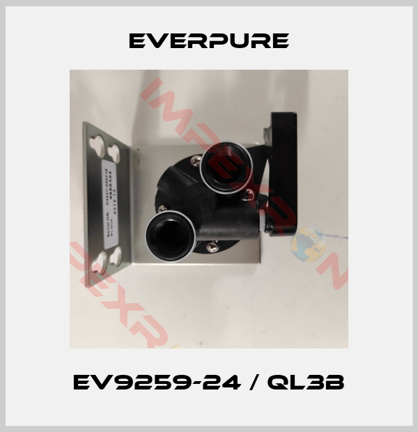 Everpure-EV9259-24 / QL3B