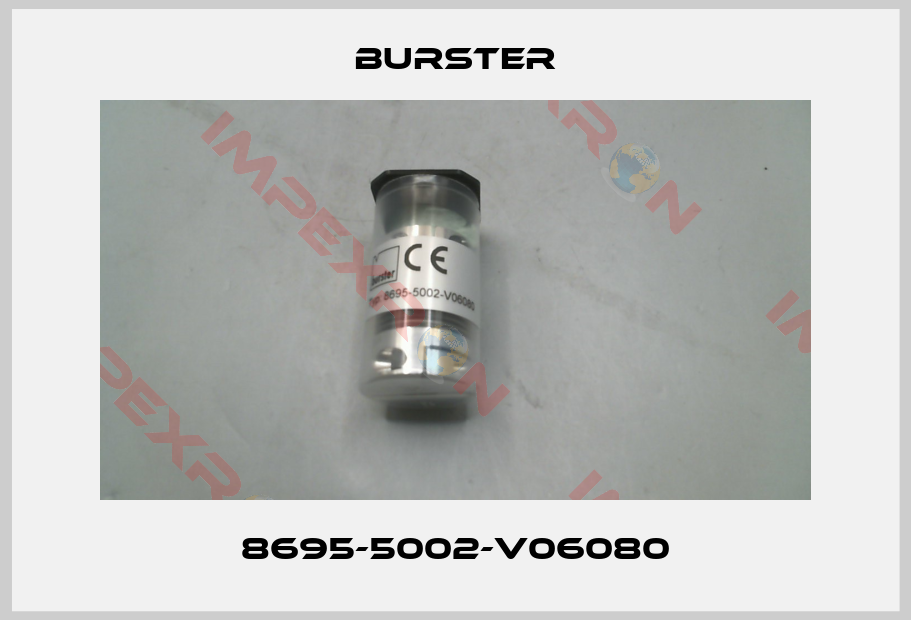 Burster-8695-5002-V06080