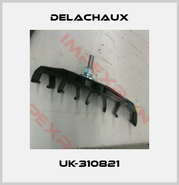 Delachaux-UK-310821