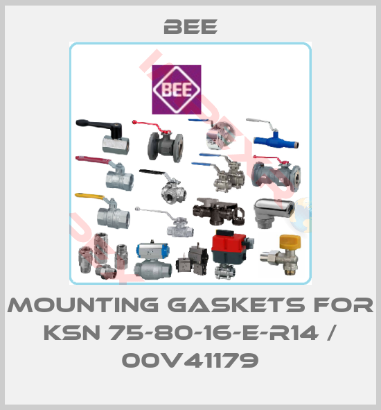 BEE-mounting gaskets for KSN 75-80-16-E-R14 / 00V41179