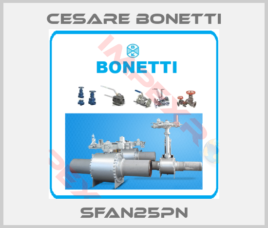 Cesare Bonetti-SFAN25PN
