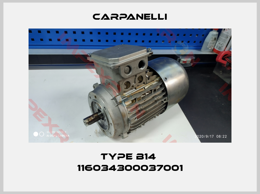 Carpanelli-TYPE B14  116034300037001