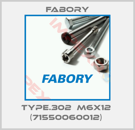 Fabory-TYPE.302  M6X12  (71550060012) 