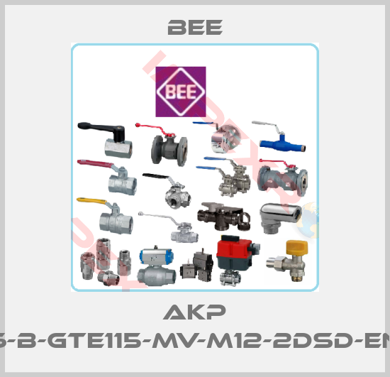BEE-AKP 75-65-16-B-GTE115-MV-M12-2DSD-END00201