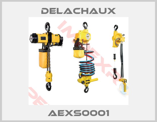 Delachaux-AEXS0001