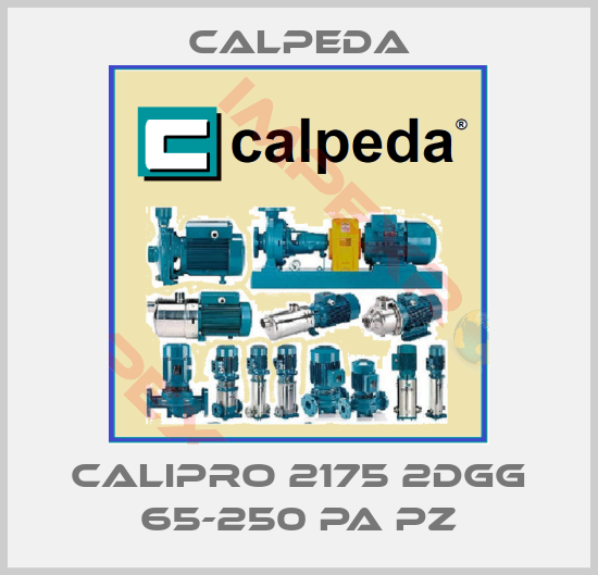 Calpeda-Calipro 2175 2DGG 65-250 PA PZ