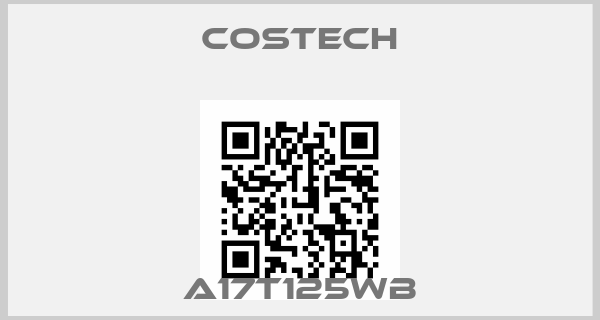 Costech-A17T125WB