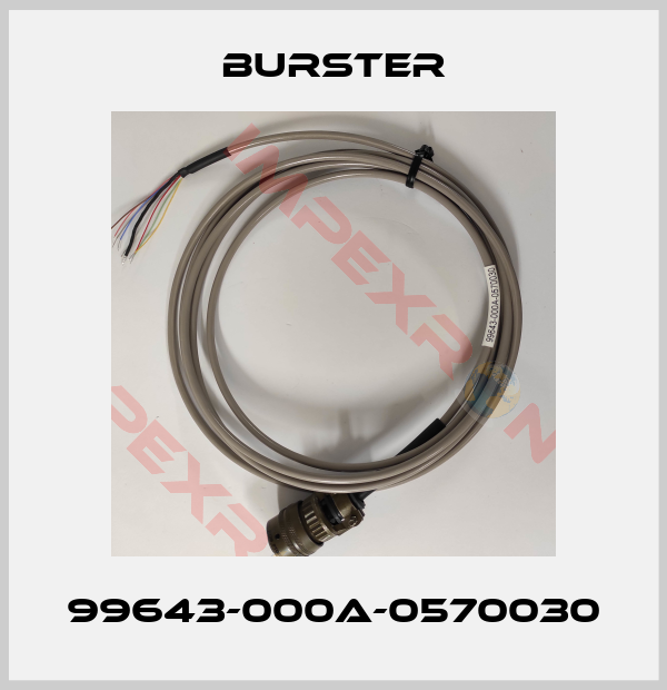 Burster-99643-000A-0570030