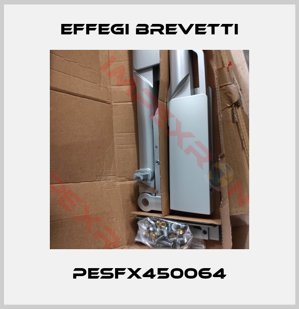 Effegi Brevetti-PESFX450064
