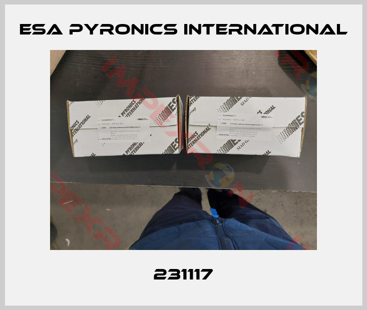 ESA Pyronics International-231117