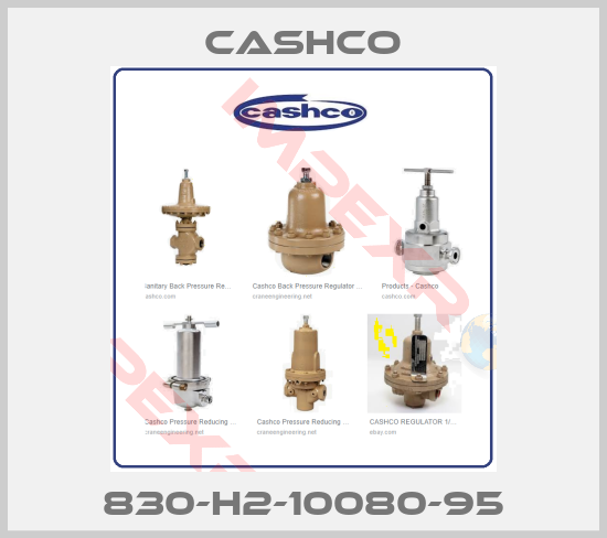 Cashco-830-H2-10080-95