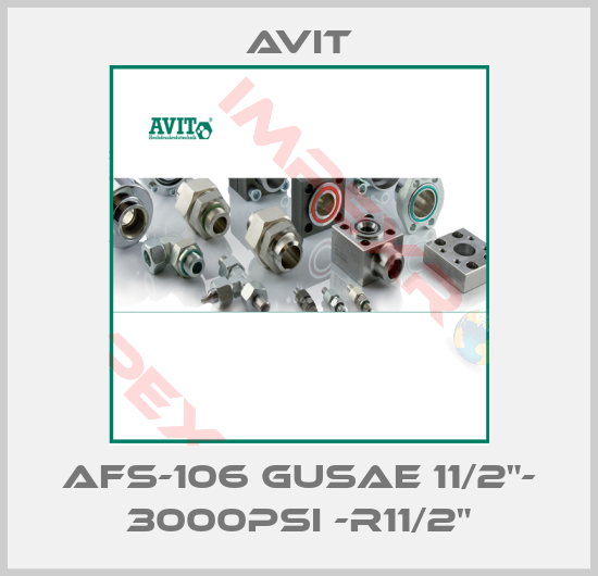 Avit-AFS-106 GUSAE 11/2"- 3000PSI -R11/2"