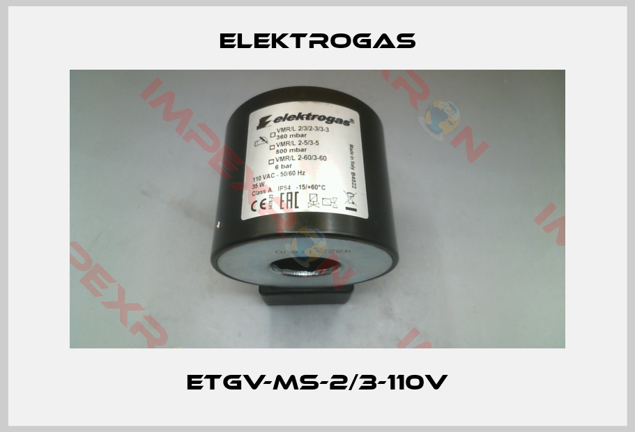 Elektrogas-ETGV-MS-2/3-110V
