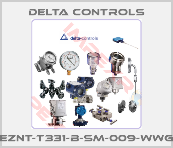 Delta Controls-EZNT-T331-B-SM-009-WWG