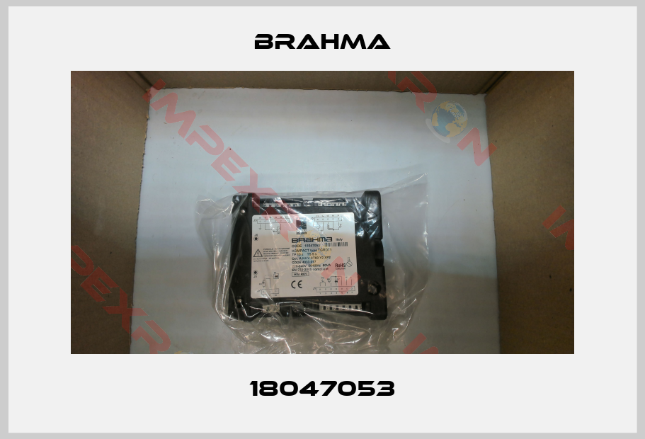 Brahma-18047053