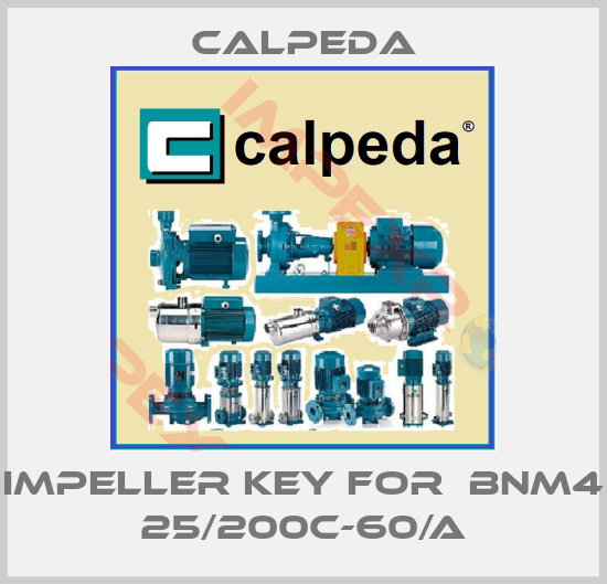 Calpeda-impeller key for  BNM4 25/200C-60/A