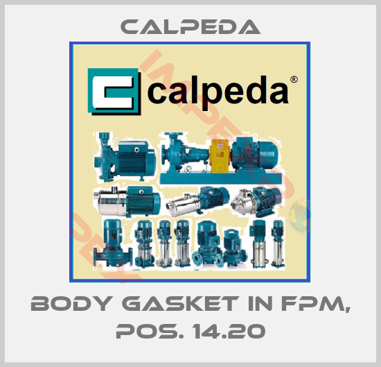 Calpeda-Body gasket in FPM, pos. 14.20