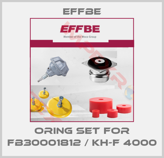Effbe-Oring set for FB30001812 / KH-F 4000