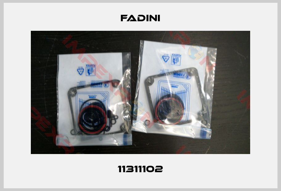 FADINI-11311102