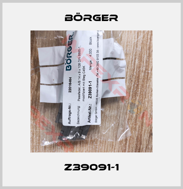 Börger-Z39091-1
