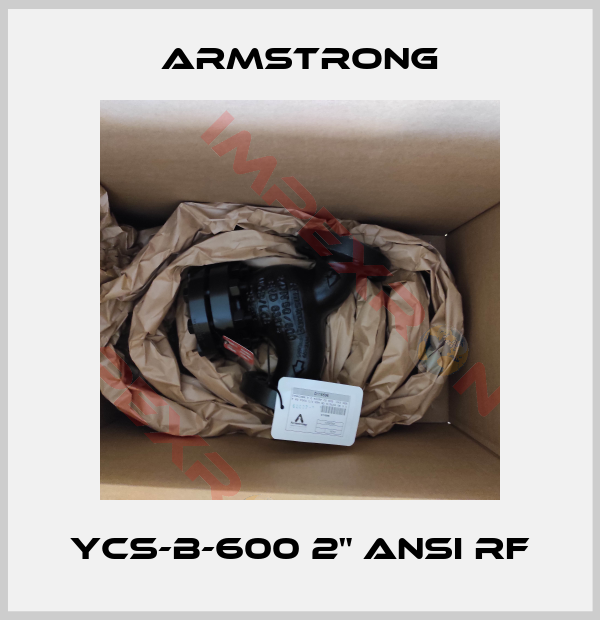 Armstrong-YCS-B-600 2" ANSI RF