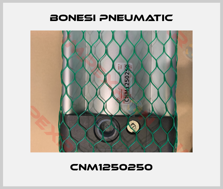 Bonesi Pneumatic-CNM1250250