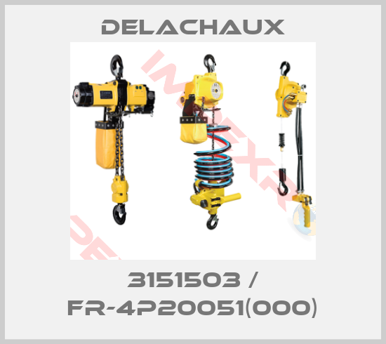 Delachaux-3151503 / FR-4P20051(000)