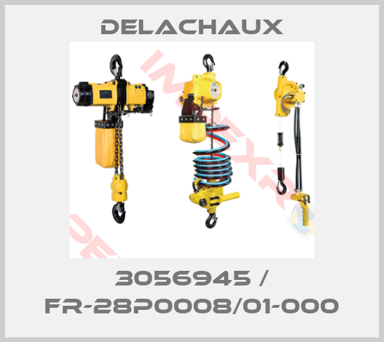 Delachaux-3056945 / FR-28P0008/01-000